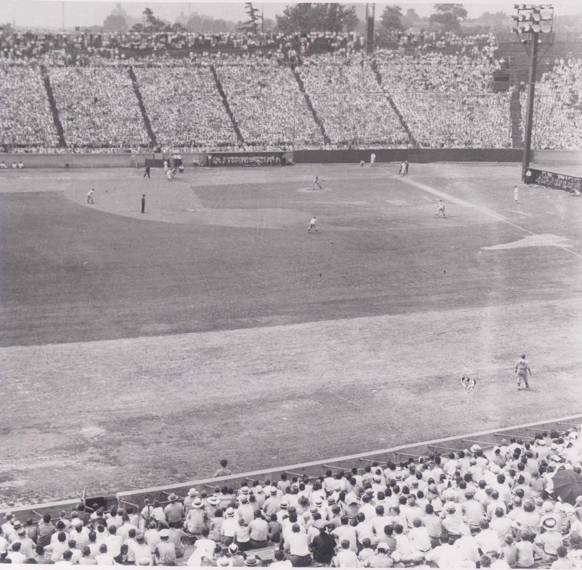 Orioles playing baseball in 1944.